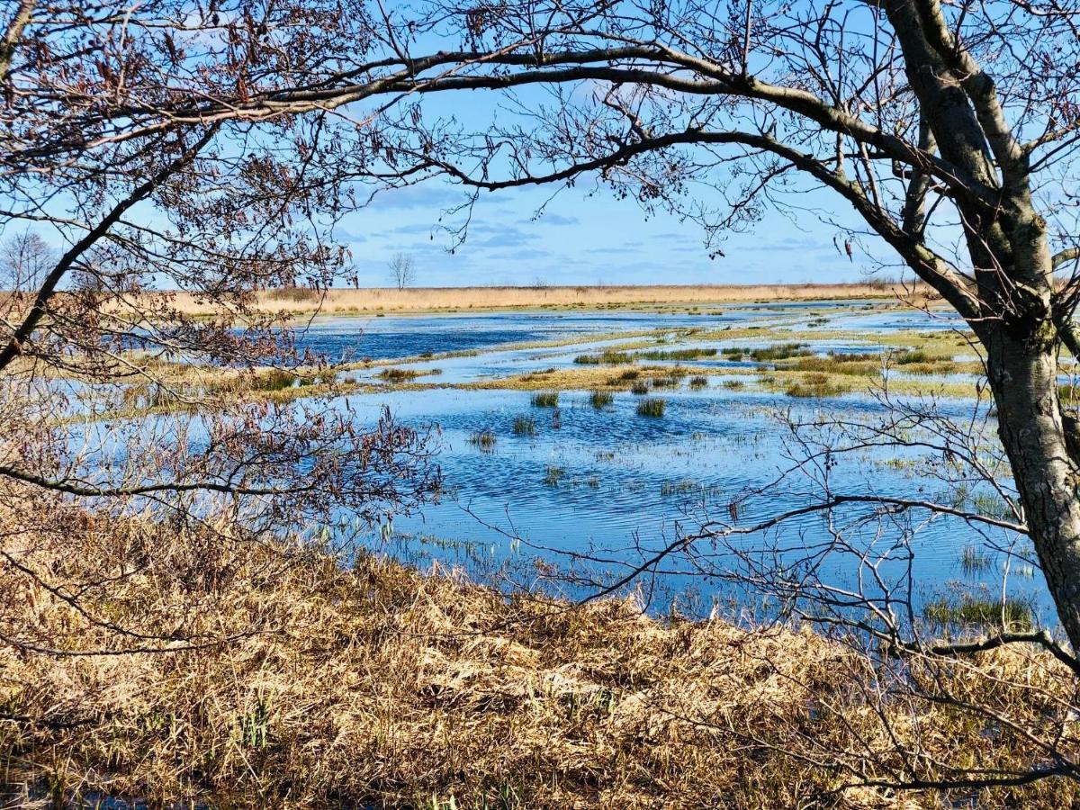 Domki I Apartamenty Caloroczne Koliber Władysławowo Esterno foto
